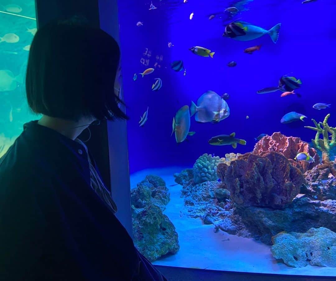 中嶋春陽のインスタグラム：「#新江ノ島水族館   サメ展を見に🦈 友達の推しサメはかわいかったし、やっぱりサメは恐竜っぽいなと。 サメに触れたり、くっきりメイク風なお魚にも出会えたり、のんびり楽しい時間を過ごせました。  知り合いのちびっ子がお魚も好きらしいので、いつか一緒に行きたい…！」