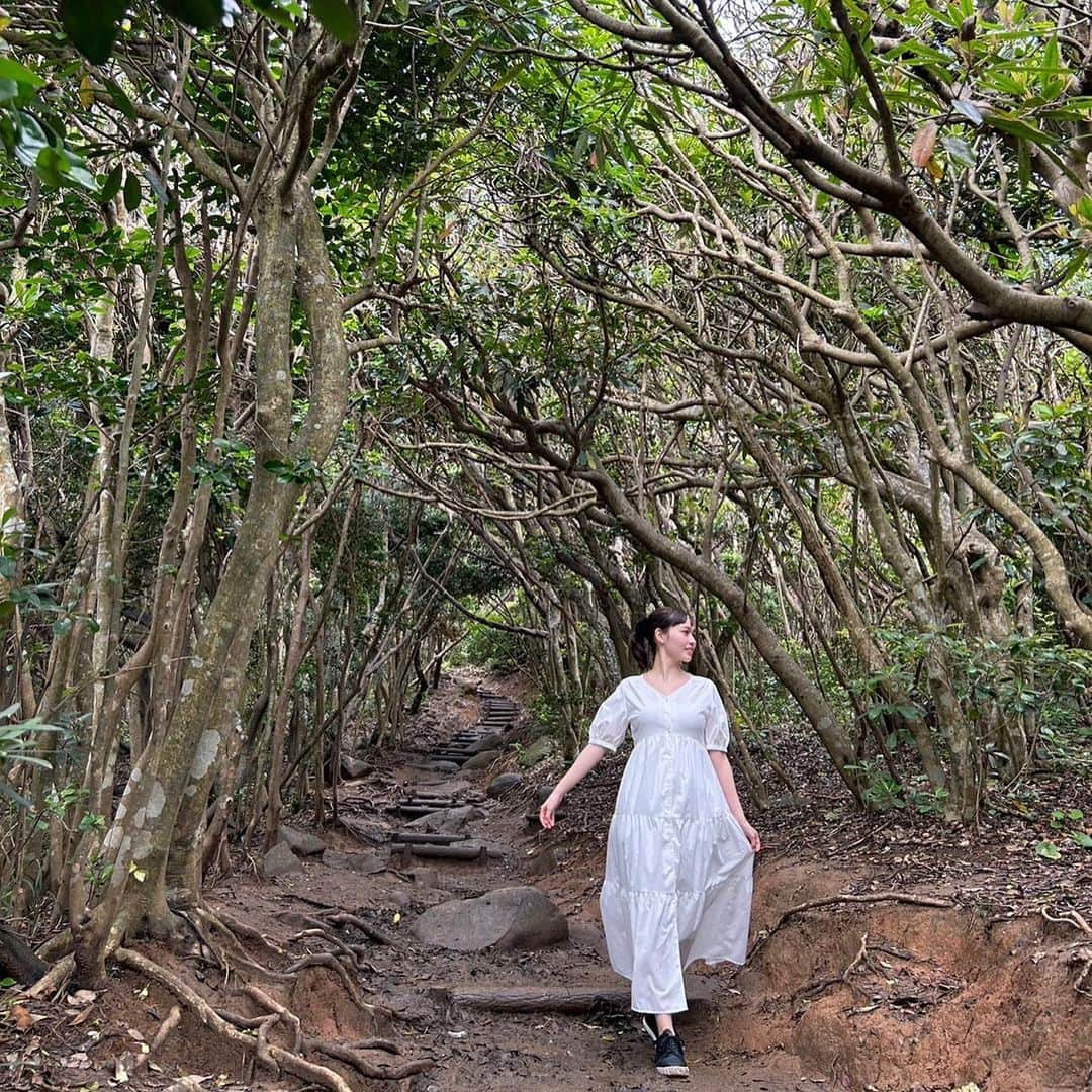 ジャスミンさんのインスタグラム写真 - (ジャスミンInstagram)「福岡の糸島に行ってきました！ 途中雨が降る予報でしたが、ずっと晴れてくれてすごくいい写真がたくさん撮れました📸 やっぱり旅行って楽しい✨  #福岡 #糸島 #旅行 #糸島のトトロの森 #二見ヶ浦夫婦岩の鳥居 #また行きたい #こんなに #晴れると #思ってなかったから #日焼け止め塗り忘れた #首あたり #ヒリヒリする」5月15日 19時35分 - jassmin.blossom