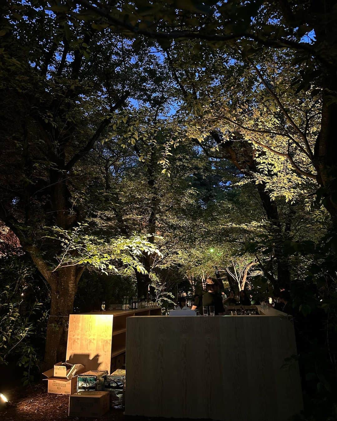 永野芽郁さんのインスタグラム写真 - (永野芽郁Instagram)「・ 👗🤍🌳🖼️🎶 #PRADAMODE #東京都庭園美術館」5月15日 19時35分 - mei_nagano0924official