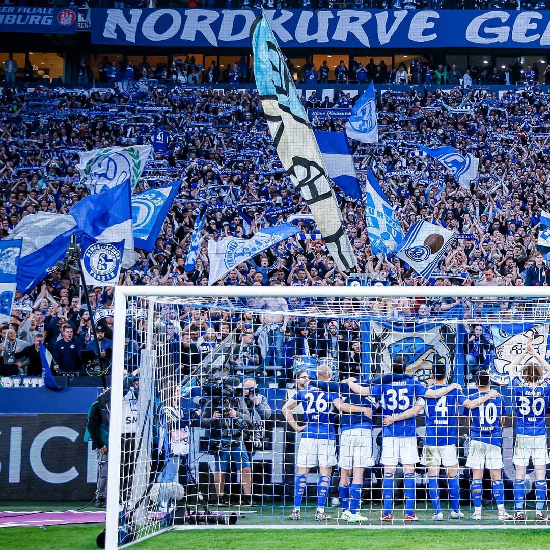 シャルケ04のインスタグラム：「Hat einen Tag gedauert… Aber jetzt: Kräfte bündeln und dann ALLE gemeinsam gegen Frankfurt! 🔵⚪️ . #WirBleiben❗️ . . #MondayMotivation #Schalke #S04 ##S04SGE #Football #Soccer #Fußball #Futbol #Knappen #🔵⚪️」