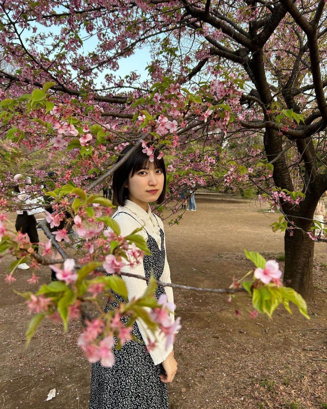 吉田華恋のインスタグラム：「📍代々木公園  これ撮ってたらカラスにワッフル取られました🧇」