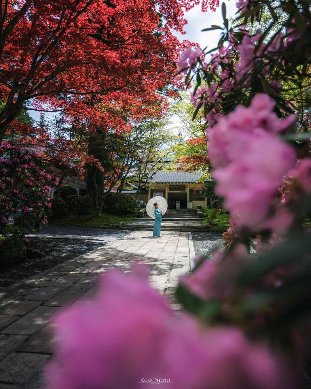 コサさんのインスタグラム写真 - (コサInstagram)「GWは避けたかったけど石楠花が見頃だったので高野山へ 外国人でいっぱいでした😅 たまたま運良く無人の瞬間があり、秒で撮影しました📸 . Location:和歌山 Wakayama / Japan🇯🇵 Date:2023年5月 Camera:Z9 / Z 14-24mm f2.8 in frame:@chami_2nd . #石楠花 #高野山 #Japan_Daytime_View #グッドトリップ和歌山 #japancityblues #ポトレファン倶楽部 #ポトレ撮影隊 #jp_mood #jp_portrait部 #何気ない瞬間を残したい #tokyocameraclub #art_of_japan_ #jgrv_member #team_jp_ #photo_jpn #sorakataphoto #LBJ_KING #私の瞳がきらめいた瞬間 #広がり同盟メンバー #special_spot_legend #lovers_amazing_group #deaf_b_j_ #じゃびふる #Rox_Captures #colore_de_saison #raw_japan #japan_bestpic_ #Lovers_Nippon #colors_portrait_gallery #clv_galerie」5月16日 7時03分 - kosa_photo