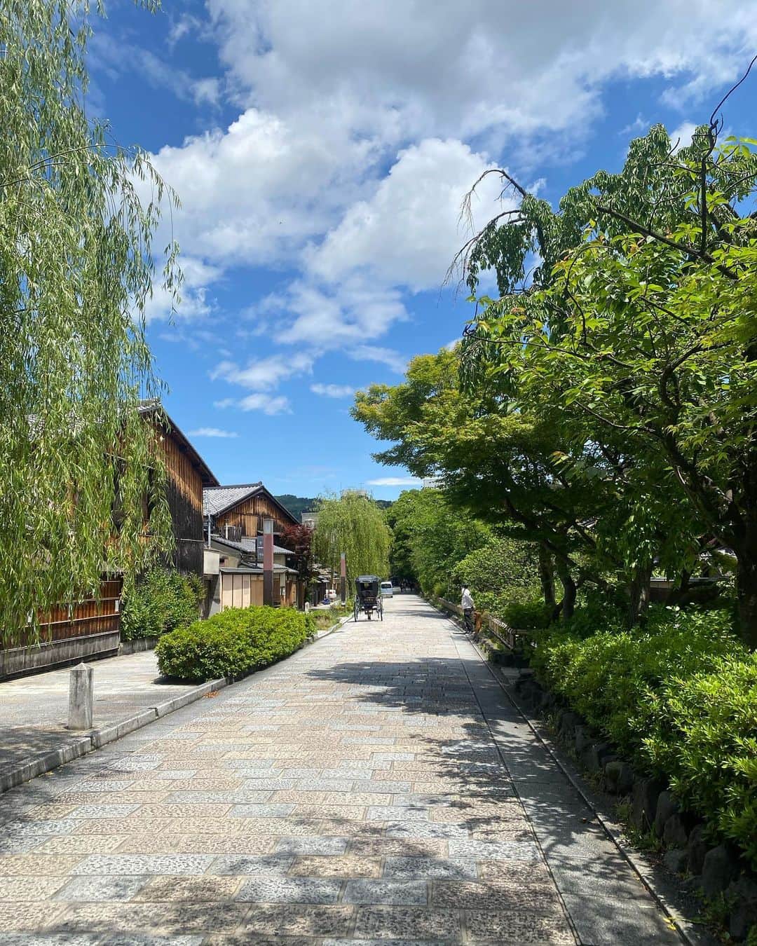古賀陽子さんのインスタグラム写真 - (古賀陽子Instagram)「#京都南座 で歌舞伎を鑑賞しました⬛️🟧🟩 初心者に優しく、はじめに解説付きだったのですごく分かりやすく楽しめました😆 敷居が高いと思いがちでしたが、ちょっと基礎知識を知ると一気に面白さが広がりました😆 祇園をぷらぷらしたりと久々に京都を満喫した1日でした✨  #歌舞伎 #kabuki #京都 #四条  #画家の日常 #artistlifestyle  #アートコレクター #絵のある暮らし #美術好きな人と繋がりたい #美術 #ギャラリー #アートワーク #美術館 #展覧会 #現代アート #japaneseartist #figurativepainting #figurativeart #artcollector #exhibit #exhibition #gallery  #artistsoninstagram #oiloncanvas  #artwork #painting #contemporaryart #古賀陽子 #yokokoga」5月15日 22時41分 - y.koga7