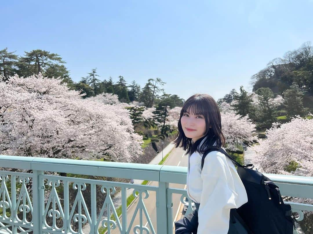 福岡聖菜さんのインスタグラム写真 - (福岡聖菜Instagram)「見渡す限りの桜の美しさにわぁぁ…と感動した日。 こんなに綺麗な景色ってあるんだなぁ、また行きたいなぁ😌🌸  #石川橋 #兼六園 #金沢城 #金沢旅行 #桜」5月15日 23時00分 - seina___ff