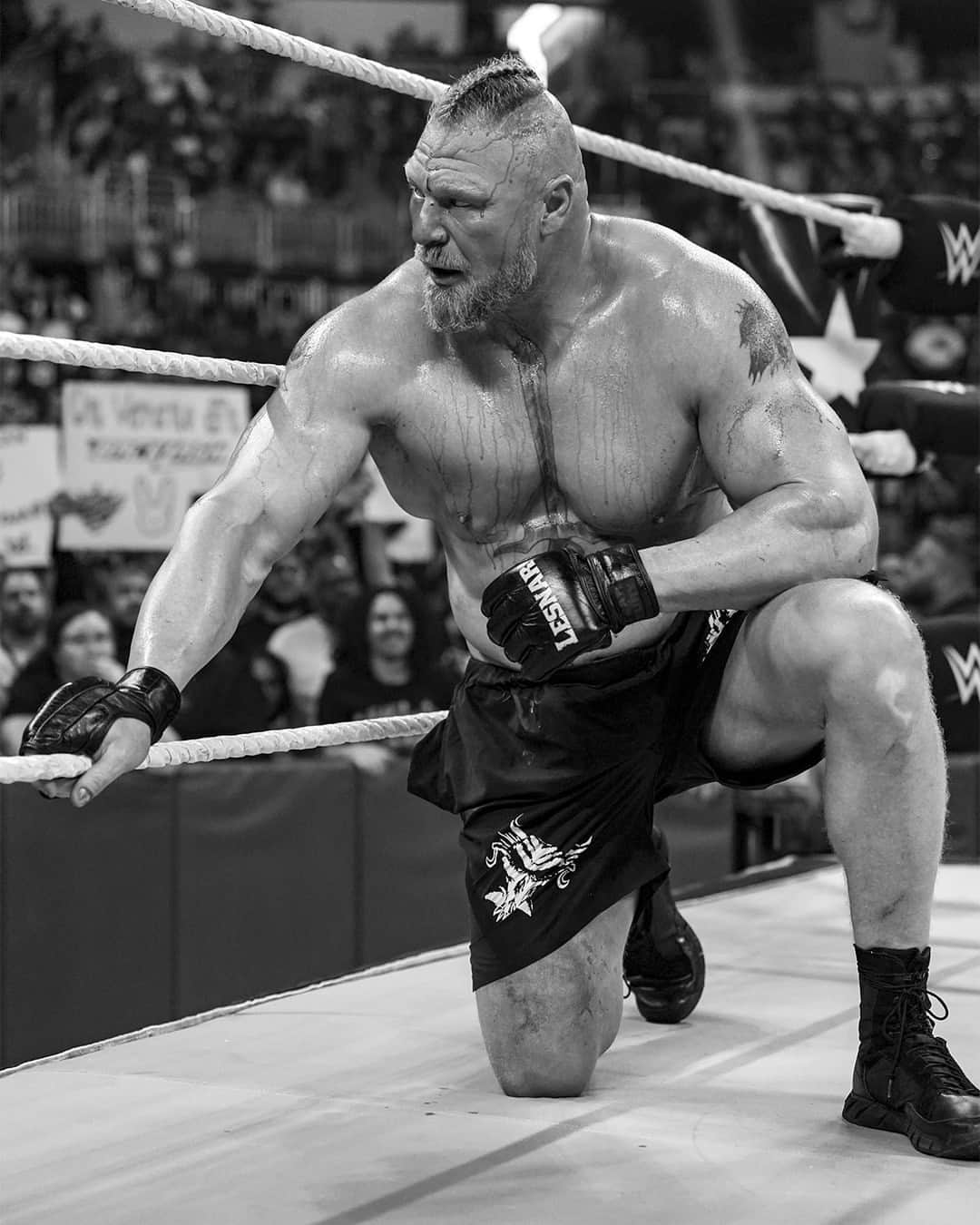 WWEさんのインスタグラム写真 - (WWEInstagram)「This rematch will be 🔥🔥🔥 !   Don't miss Rhodes vs. Lesnar II at #WWENOC on May 27」5月15日 23時05分 - wwe