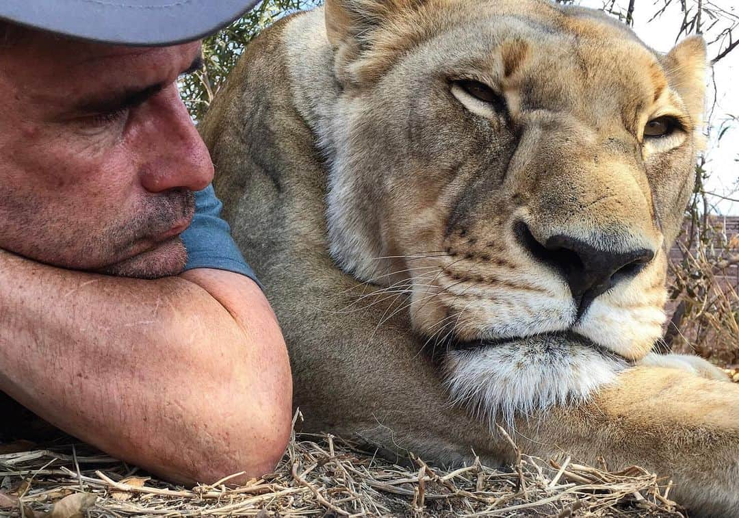 Kevin Richardson LionWhisperer のインスタグラム