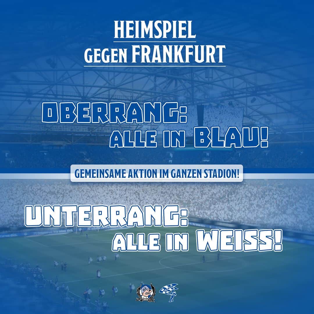 シャルケ04のインスタグラム：「Zum Heimspiel gegen Frankfurt: Gemeinsame Aktion im ganzen Stadion als Zeichen der Geschlossenheit 🔵🤝⚪️ . Die Nordkurve Gelsenkirchen ruft alle anwesenden Fans dazu auf, die @veltins_arena in unseren Vereinsfarben erstrahlen zu lassen: Alle Fans, die im Oberrang sitzen, sollen ein blaues Oberteil tragen – all jene, die im Unterrang stehen oder sitzen, sollen in weiß kommen. . Ultras Gelsenkirchen werden dafür am Freitag (19.5.) zwischen 17 und 20 Uhr an der Schalker Geschäftsstelle blaue und weiße T-Shirts verkaufen – sie kosten 10 Euro und werden nur gegen Vorlage der gültigen Eintrittskarte für die Partie am Folgetag herausgegeben. . Wer es erst am Spieltag auf das Vereinsgelände schafft, kann am Treppenhaus 7 auf dem Arenaring ein blaues Shirt erwerben – weiße Shirts verkauft UGE am Treppenhaus 3. Die T-Shirts sind streng limitiert. Es gilt: Solange der Vorrat reicht. . Der S04 bietet den Fans ebenfalls die Möglichkeit, sich im Fanshop an der Geschäftsstelle und am Spieltag an den Verkaufsstellen auf dem Arenaring blaue und weiße Shirts zu sichern. Die Shirts sind am Freitag und Samstag zum reduzierten Preis von 19 Euro statt 24,95 Euro erhältlich. Sie sind auf der Vorderseite mit einer Liedzeile des "Mythos vom Schalker Markt" und auf der Rückseite mit einem Piktogramm der Glückauf-Kampfbahn bedruckt. . Da auch diese Oberteile in ihrer Stückzahl stark begrenzt sind, raten wir dringend dazu, zum Spiel in entsprechender Kleiderfarbe zu erscheinen, damit die Aktion auch wirklich gelingt. . DANKE für eure Mithilfe 💙 . . #S04SGE #Schalke #S04 #WirBleiben #Football #Soccer #Fußball #Futbol #Knappen #🔵⚪️」
