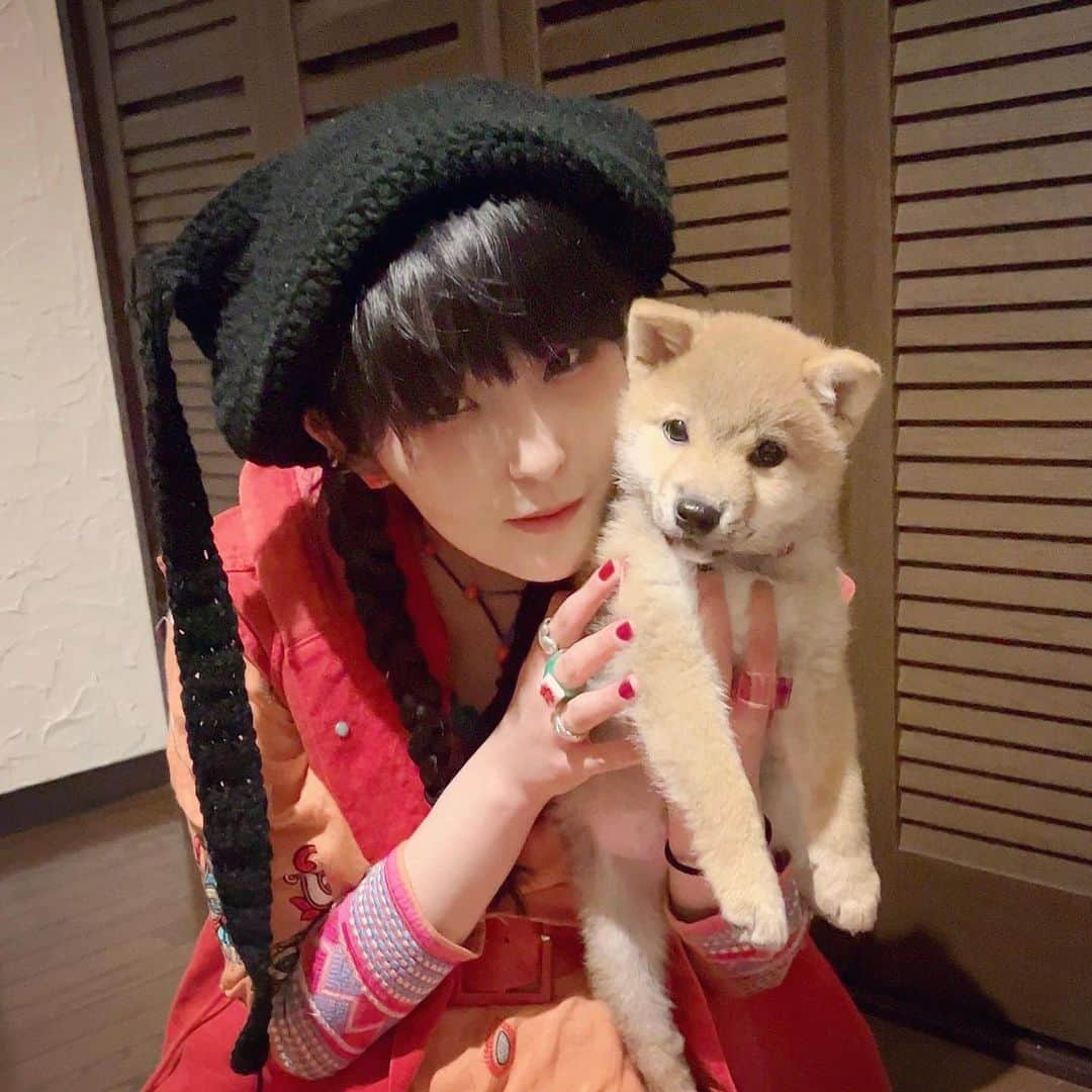 DAOKOのインスタグラム：「犬ってます🐕」
