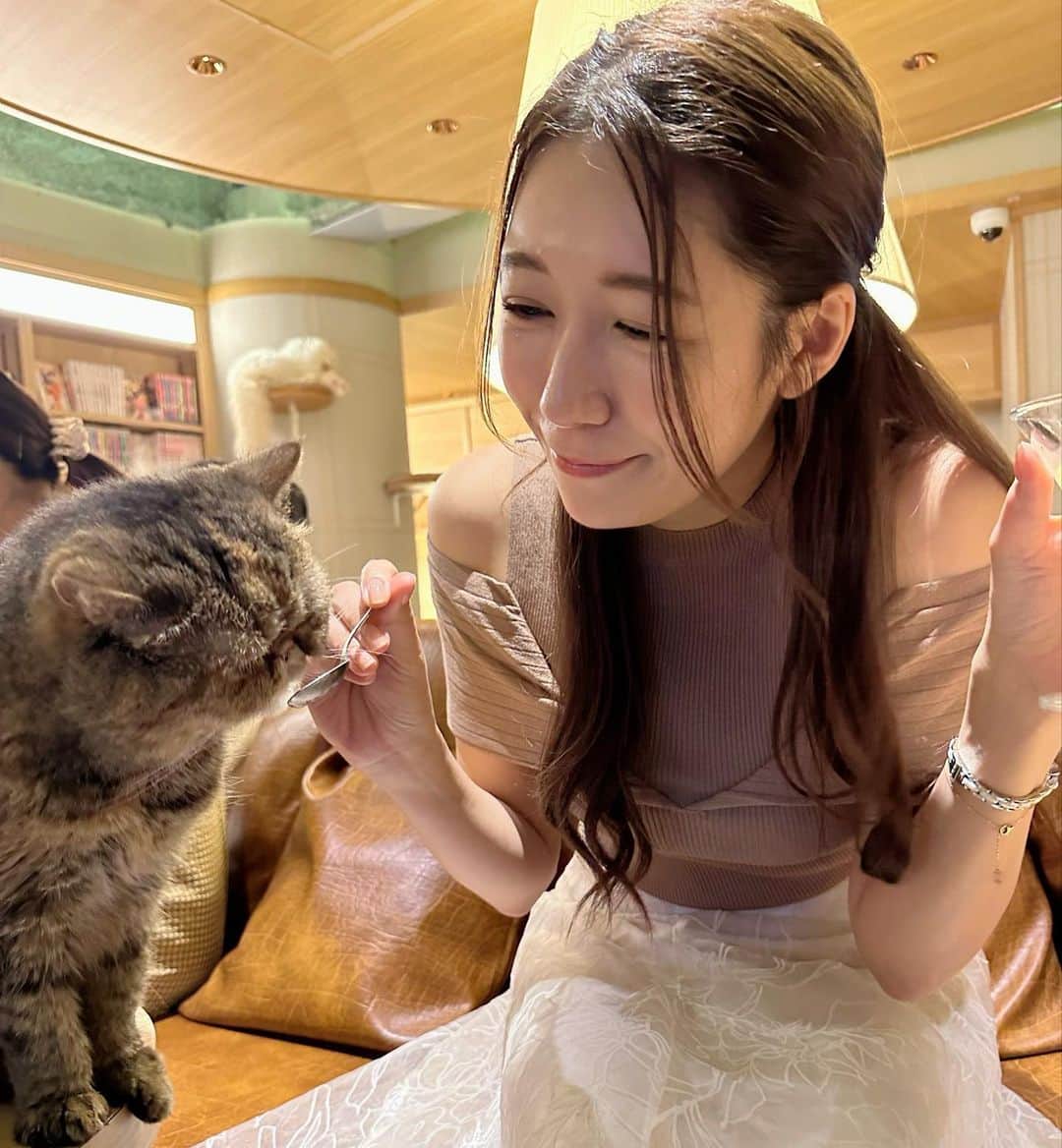穂川果音さんのインスタグラム写真 - (穂川果音Instagram)「天国🐈🐈🐈  #猫　#天国　#もふもふ」5月16日 0時20分 - hokawakanonn