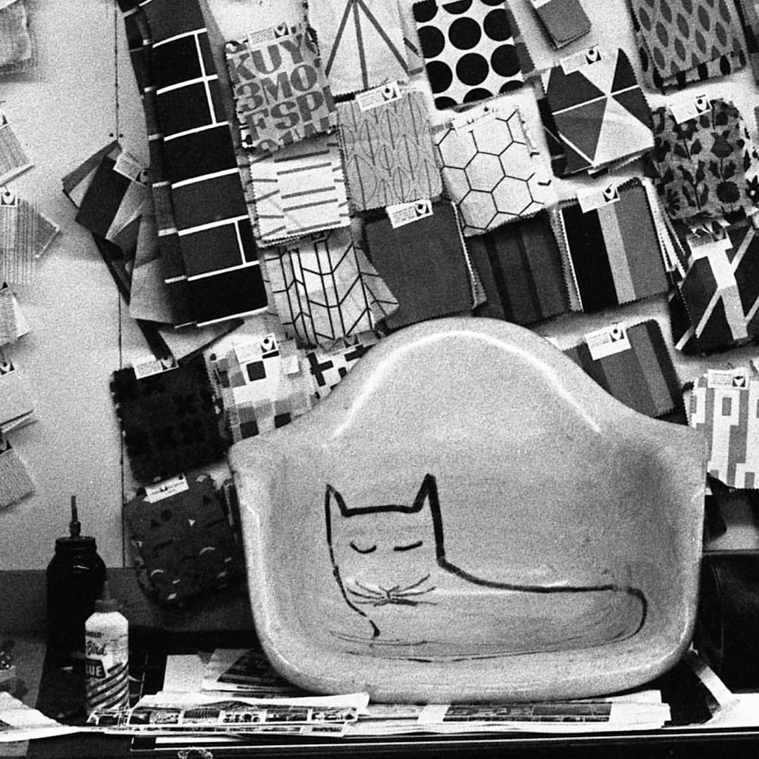 Herman Miller （ハーマンミラー）のインスタグラム：「What kind of friend paints all over your furniture, floors, and walls on a visit to your studio? If you’re Charles and Ray Eames, it’s the kind of friend whose spontaneous vision launched an iconic collaboration. Artist Saul Steinberg, notable for his drawings featured in @NewYorkerMag, painted a series of lively figures at the Eames Office in 1950—including a sleeping cat in the Eameses’ radically new shell chair. In collaboration with the Eames Office and Vitra, Herman Miller is now introducing a limited-edition Eames Fiberglass Armchair with Steinberg Cat—faithfully reproduced and hand-painted. Curious to know more? See link in bio to sign up for early access.  All Steinberg drawings © The Saul Steinberg Foundation/Artists Rights Society (ARS), New York @SaulSteinberg  Eames Fiberglass Armchair with nude figure and cat by Saul Steinberg, 1950 | © Eames Office, LLC 2023  Steinberg with cat in his studio, Amagansett, Long Island, 1974 Staged at the Eames House, Pacific Palisades, California © Eames Foundation, 2023 | © Vitra | Photo: Florian Böhm (Studio AKFB)  @EamesOffice | Available from Herman Miller in North America and Japan and from @Vitra in Europe.」