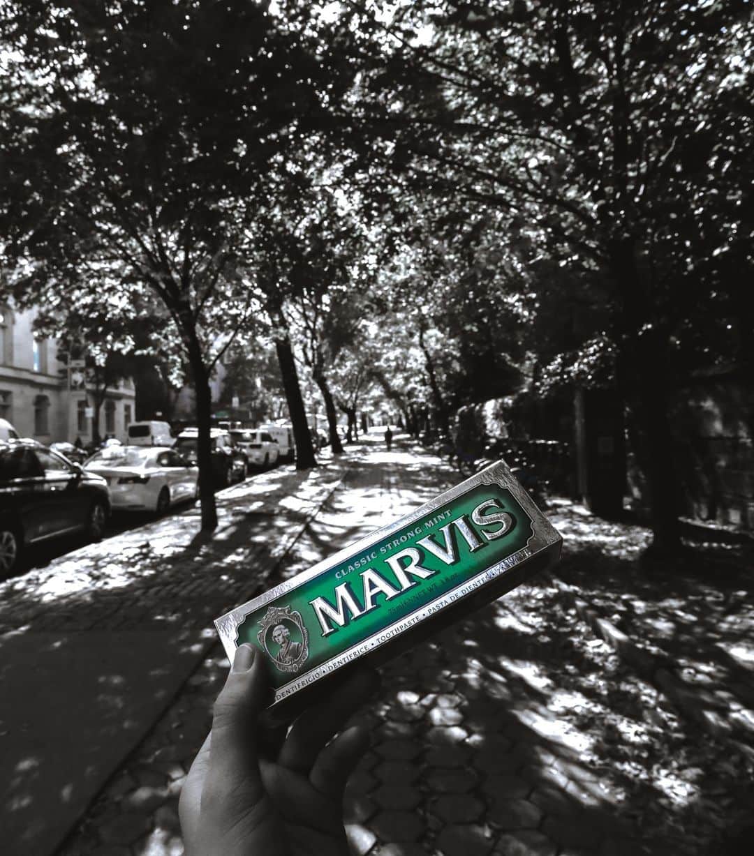 Marvis®️ Official Partnerのインスタグラム：「Freshening up our morning with a walk through Central Park and a dash of Classic Strong Mint 🌳🌿🦷 #marvis」