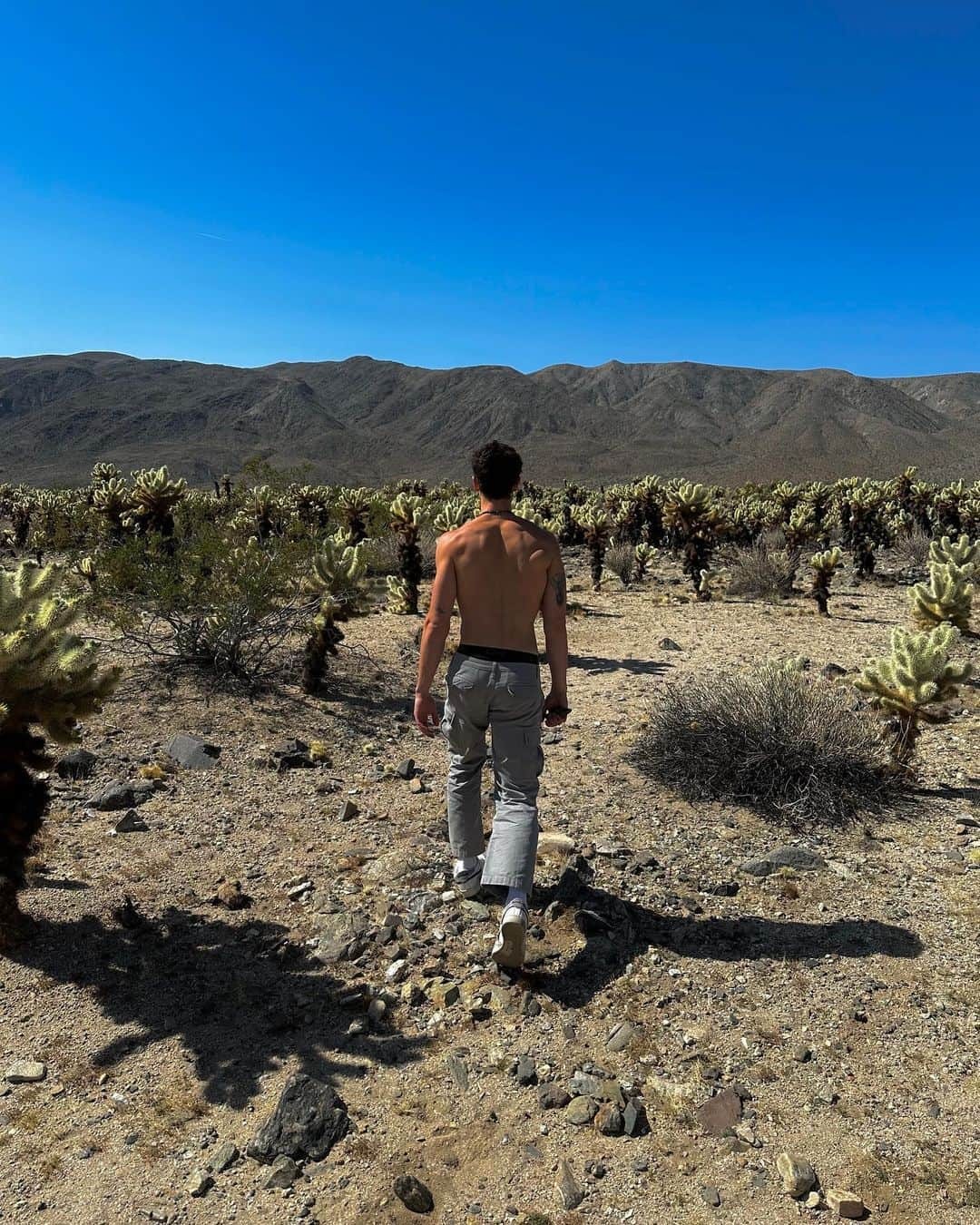 ショーン・メンデスのインスタグラム：「Honestly sometimes when i’m having bad anxiety doing things like Meditation, journaling & breath work feels really hard to do.   Sometimes i just need REST & go into nature for a little bit.  i’ve found my spots around town that i can escape to for an hour or so when things feel intense & it’s really changed my life.   Nature kinda effortlessly heals us 💙🌳🌿   i hope you’re doing okay #mentalhealthmonth」