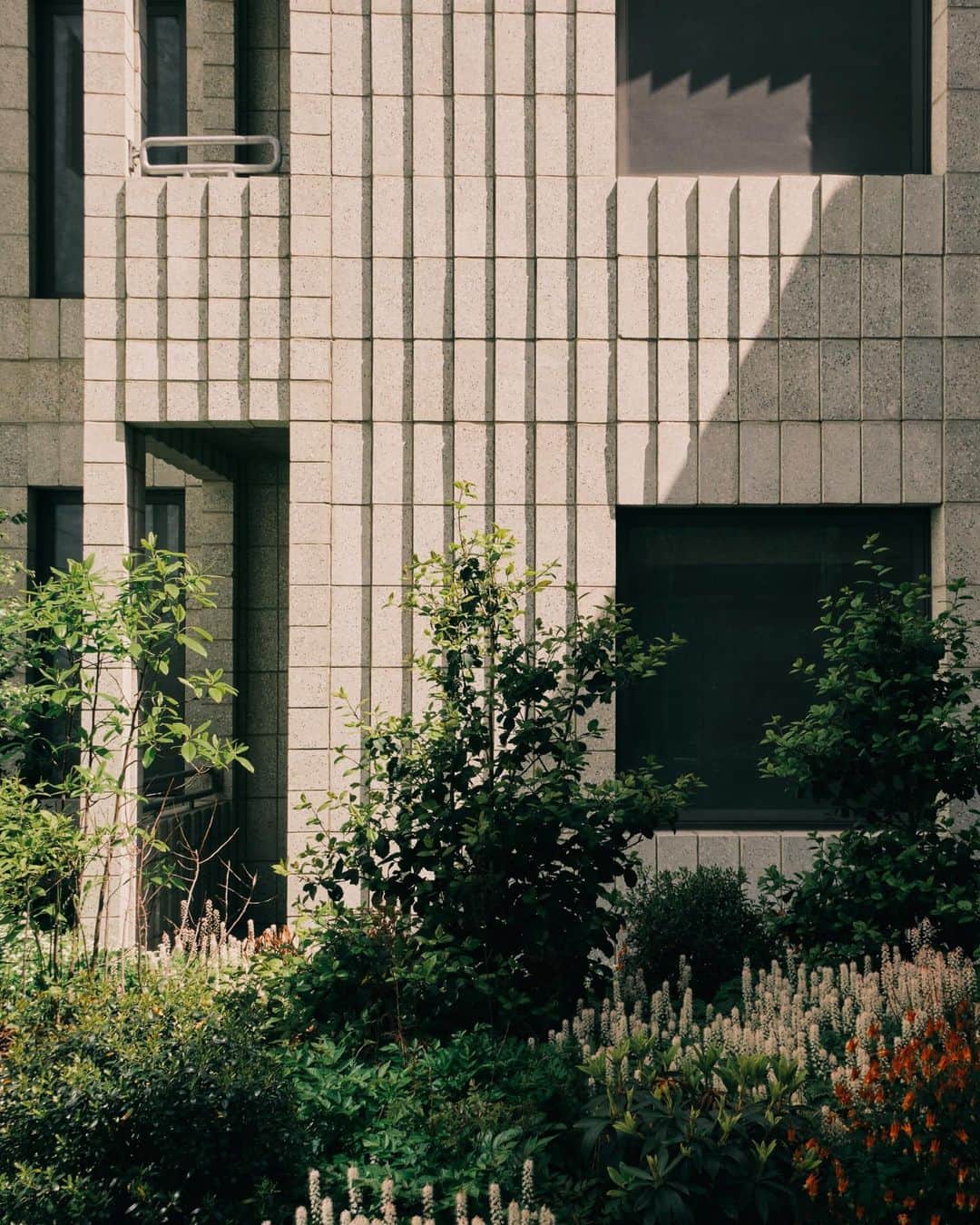 アリス・ガオのインスタグラム：「transported to this lush concrete wonderland. fun little tour of @450warren c/o @thecreativesagent 🌿.」