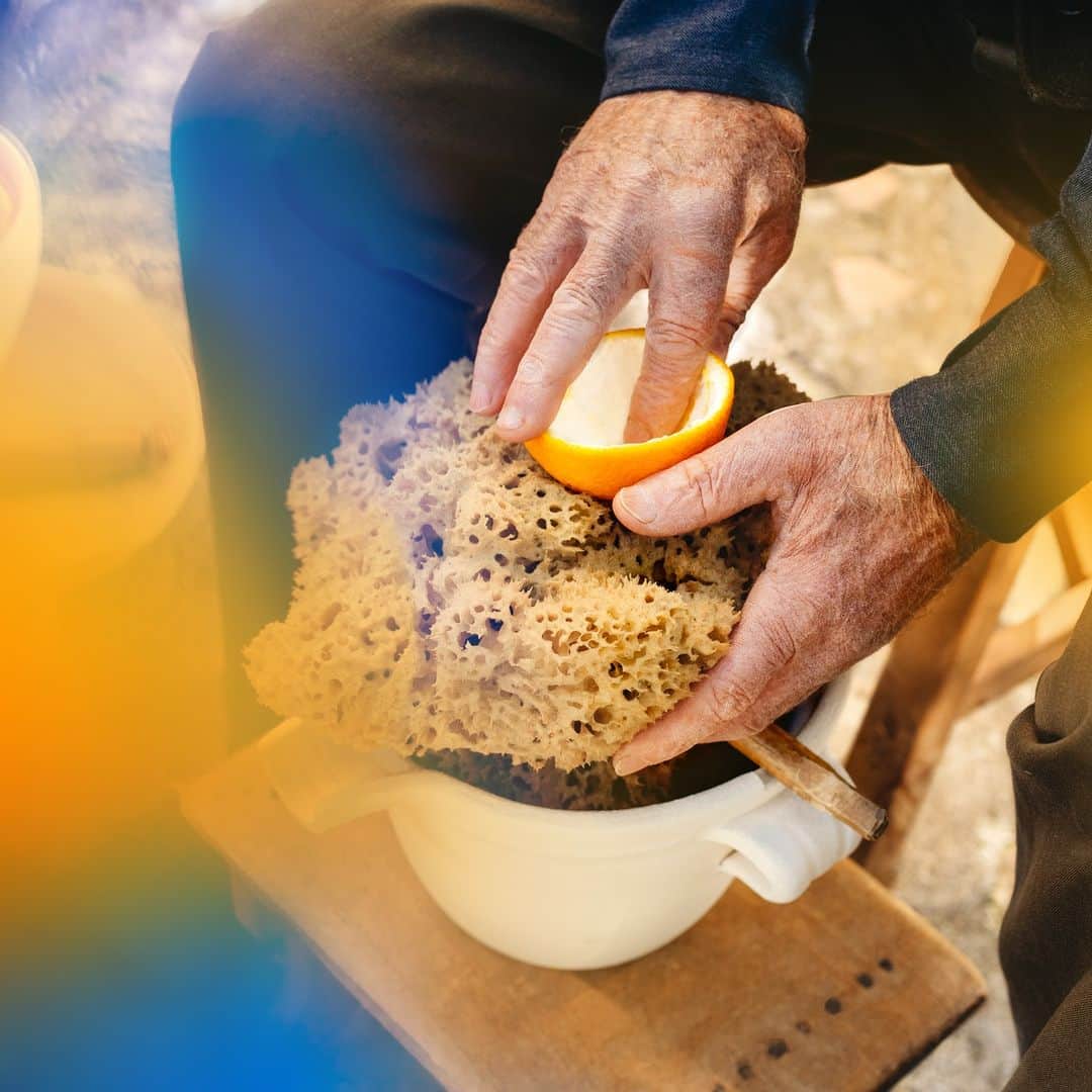 のインスタグラム：「A true art that requires time and precise, delicate gestures. La Spugnatura is an ancient sponging technique that extracts the Arancia Vaniglia's rich elixir in all its depth and richness.   #AcquadiParma #AranciaLaSpugnatura #LimitedEdition」