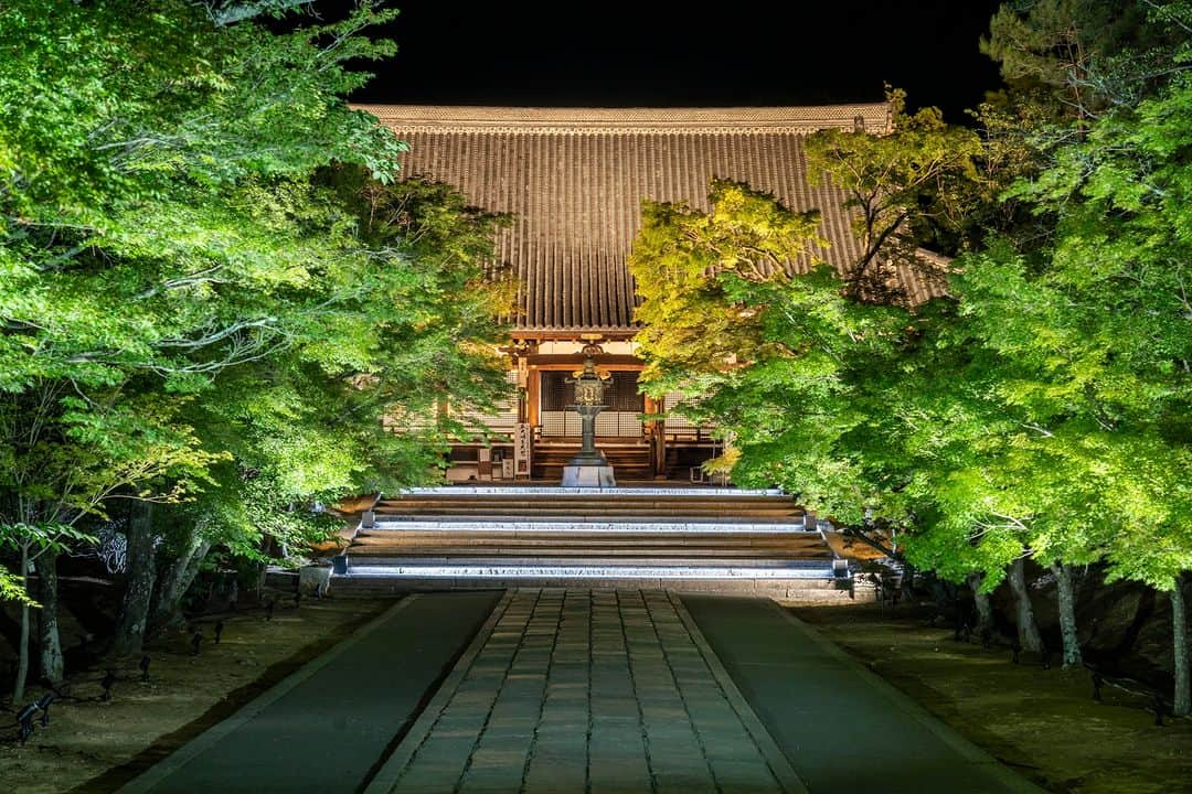 関西電力株式会社のインスタグラム：「＼仁和寺の風景を未来に残す🤝青もみじライトアップ／ 本日は、京都・仁和寺の青もみじをパシャリ📸  多くの文化財建造物や宝物を所有する、仁和寺。 これらの文化財は、どんなに大切に保管しても、経年や自然災害などにより劣化・破損してしまうことは避けられません💦  そんな「文化財保護」や「観光公害」問題への解決策として取り組まれているプロジェクトが「仁和寺の風景を未来に残すプロジェクト」。 このプロジェクトの一環で、「写真撮影マナー」「撮影環境の整備」に取り組んでいる東京カメラ部と共に、「青もみじライトアップ」が始まったそうです✨  みなさんオススメの関西のスポットがあれば、コメントで教えてください！  ※写真は過去に撮影したものです。  #関西電力　#灯りフォト部 #京都　#仁和寺　#青もみじ　#ライトアップ #日本の絶景　#日本の景色 #関西旅行　#関西観光　#京都旅行　#京都観光 #カメラ好きな人と繋がりたい　#写真好きな人と繋がりたい」