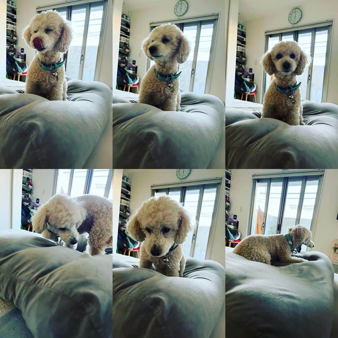 金村義明のグルメインスタ