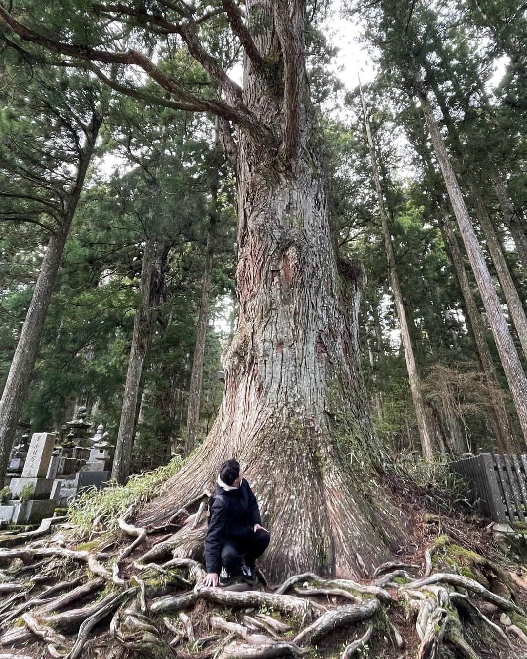 ジェット菅原さんのインスタグラム写真 - (ジェット菅原Instagram)「木だ！」5月16日 15時48分 - jet_sugawara