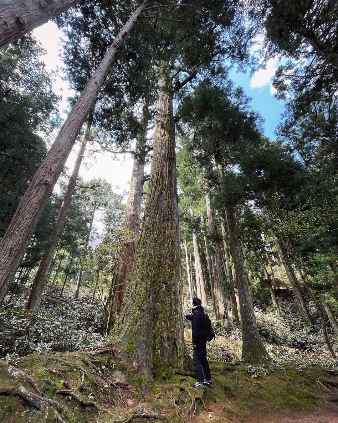 ジェット菅原さんのインスタグラム写真 - (ジェット菅原Instagram)「木だ！」5月16日 15時48分 - jet_sugawara