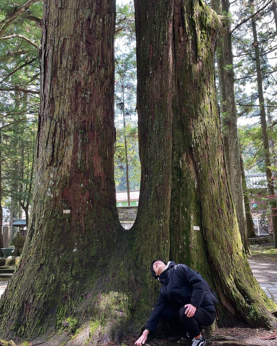 ジェット菅原さんのインスタグラム写真 - (ジェット菅原Instagram)「木だ！」5月16日 15時48分 - jet_sugawara