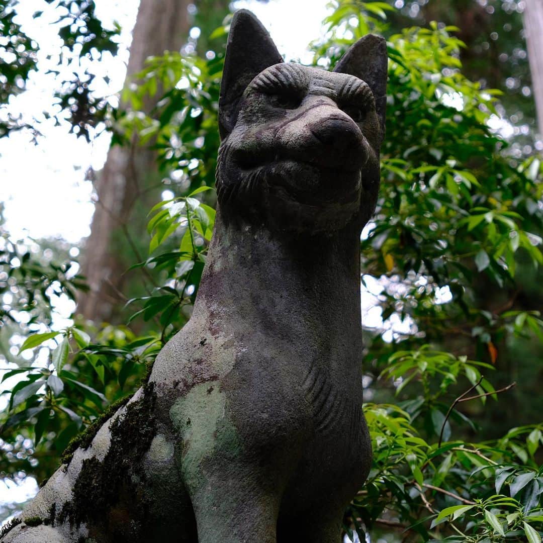 三浦祐太朗さんのインスタグラム写真 - (三浦祐太朗Instagram)「少し前に #秩父 にある #三峯神社 を参拝。ここでは狼が神様の遣いとされているそうな。神秘的で荘厳な場所でした。 #ここさけ #あの花 #空青」5月16日 15時55分 - yutaro_3ura