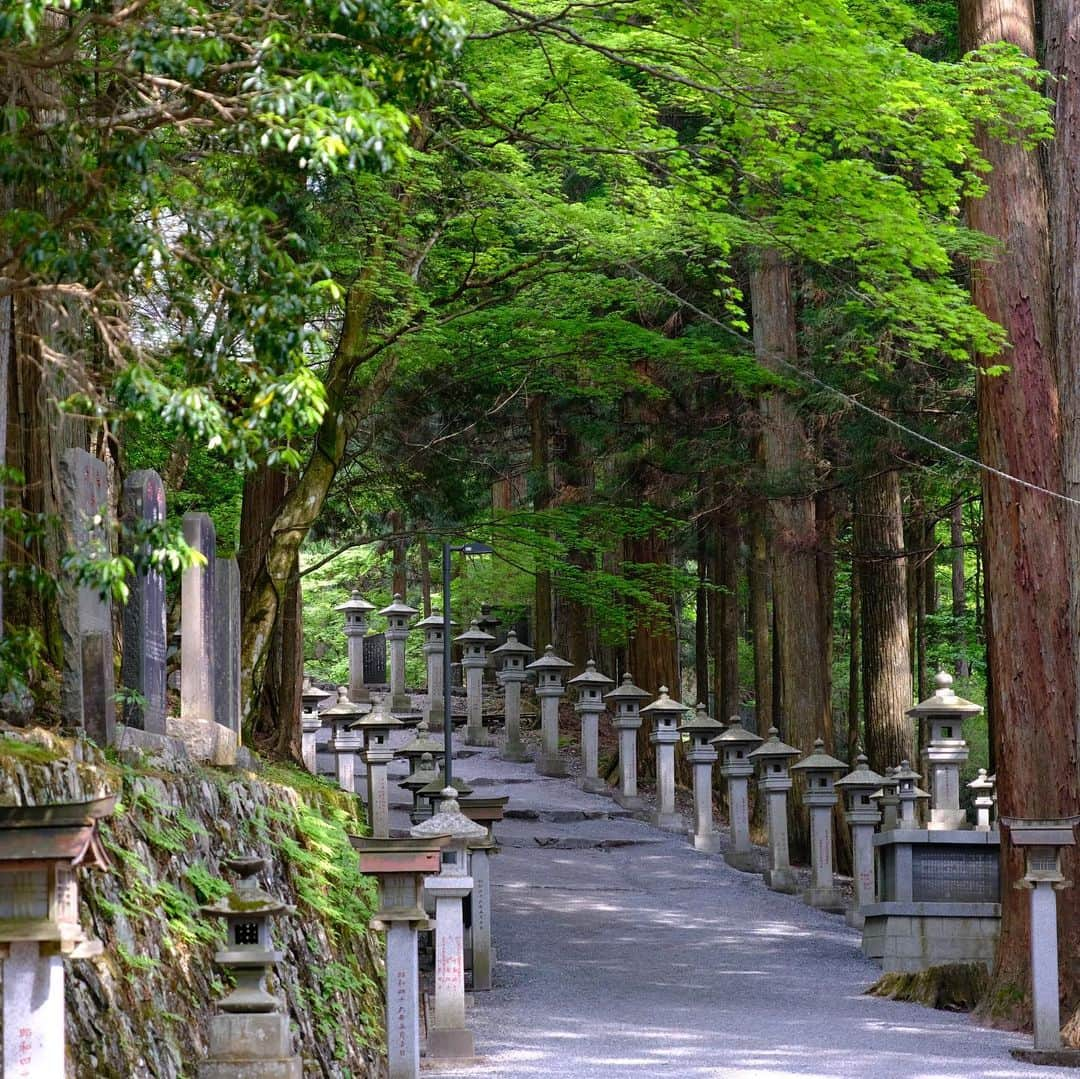 三浦祐太朗さんのインスタグラム写真 - (三浦祐太朗Instagram)「少し前に #秩父 にある #三峯神社 を参拝。ここでは狼が神様の遣いとされているそうな。神秘的で荘厳な場所でした。 #ここさけ #あの花 #空青」5月16日 15時55分 - yutaro_3ura