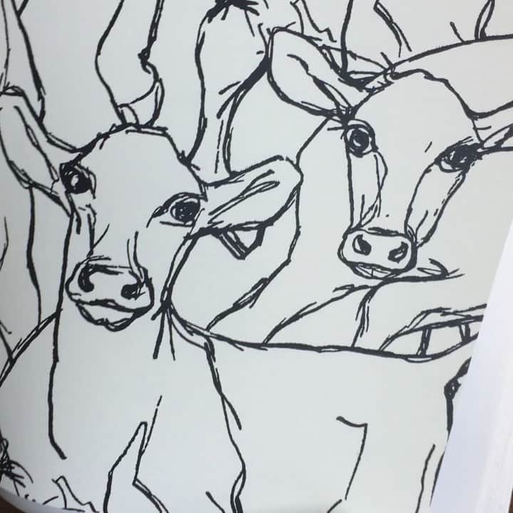 インテリアショップ メルサのインスタグラム：「【壁面が お洒落なアートに大変身 marimekko 壁紙 ILTAVILLI(イルタヴィッリ）】  @marimekko 壁紙のなかでも ひときわ目を引く 仔牛の群れをモチーフにした  ILTAVILLI(イルタヴィッリ）をご注文いただきました‼︎  こちらは 今回ご注文下さった モノトーンカラーの ◽︎ホワイト の他 ライムグリーンが鮮やかな ◽︎グリーン の２色展開です。  数あるmarimekkoの壁紙の中から 個性的なこちらを選ばれているので 仕上がりが楽しみです〜✨ありがとうございます‼︎  ▽▽▽▽▽▽▽▽▽▽▽▽▽▽▽▽▽▽▽▽▽▽▽▽▽ #メルサ楽天市場店 にて marimekko壁紙をご購入 下さったお客様限定！  『施工画像付き商品レビュー』キャンペーン 只今実施中です‼︎ ※詳しいご案内は Instagram プロフィールページトップにpostしております！是非そちらをご覧下さい！ ▽▽▽▽▽▽▽▽▽▽▽▽▽▽▽▽▽▽▽▽▽▽▽▽▽ 楽天レビュー以外の SNSからの嬉しいご投稿も頂いております☺︎いつもありがとうございます✨  ご購入のみなさまからの ステキな『施工画像付き商品レビュー」 お待ちいたしております！ --------------------------------------------------- marimekko 壁紙は  #メルサ楽天市場店 でご購入頂けます↓  キャンペーンのお問い合わせにつきましては #メルサ楽天市場店 へ お気軽にお問い合わせ下さい。 ☎︎0796-23-2348 電話受付時間/平日9:00〜16:00   -----------------------------  メルサ楽天市場店 https://item.rakuten.co.jp/merusa/w-mu-2/  #marimekko壁紙 #マリメッコ壁紙 #イルタヴィッリ #ILTAVILLI #マリメッコクロス  #マリメッコインテリア  #marimekko #マリメッコ  #マリメッコのある暮らし  #新築 #リフォーム #リノベーション #diy  #アクセントクロス #北欧インテリア #北欧デザイン  #インテリアコーディネート  #メルサ楽天市場店  #豊岡 #兵庫」