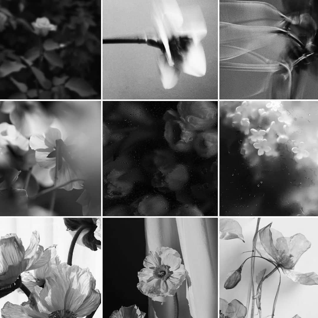 佐藤有里さんのインスタグラム写真 - (佐藤有里Instagram)「🥀💭💭 . . . #flowers」5月16日 16時46分 - yuri_212