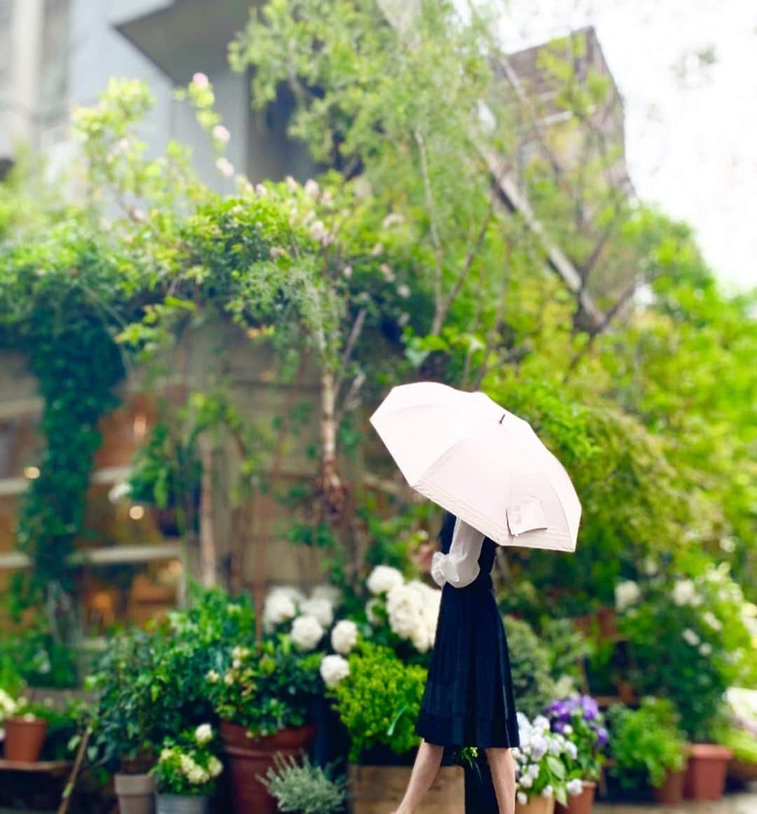 大桃美代子さんのインスタグラム写真 - (大桃美代子Instagram)「昨日は雨で涼しかったですね。  もう梅雨入り？ってキーワードが  ネットで賑わっていました。  ご近所のおしゃれなお花屋さんに、  紫陽花を見に行ったら、  一雨ごとに緑も花も色鮮やかになる紫陽花。  この季節が来たんだな〜と四季を実感できる日本は素敵ですね。  植物は梅雨に伸びる。  この季節、傘が手放せません。  大事に使っていた傘も折れてしまって、  （ノベルティーだった傘を2年使ったよ）  どうしようかな〜と、思っていたら、  いい傘見つけました。  普段、傘は晴雨兼用を使っていまして、  なるべく日に当たらないようにもしたいと。  この傘、折り畳み傘とは思えない大きさ。  開くと、９7センチの大きな傘になるのです。  UV カット99、99%  光老化が肌の老化原因の一位。  完全遮光。（傘の裏は、遮光の黒です）  約25℃の遮熱効果らしく、  心強い。  木陰を持ち歩く感覚です。  畳むとコンパクト。  持ち手がバンブーなのが、かわいい。  トートバッグに忍ばせておく一品決定です。  男性も日傘をさす時代。  早めに準備しましょ。  #晴雨兼用傘が大活躍の季節 #日傘コーデ #コンパクトサイズ #日焼け対策グッズ #遮熱 #紫外線対策グッズ #日傘デビュー #ショートワイド傘#港区女子#PR#ootd #fashion#日傘#光老化#梅雨#梅雨明け#」5月16日 8時02分 - miyoko_omomo