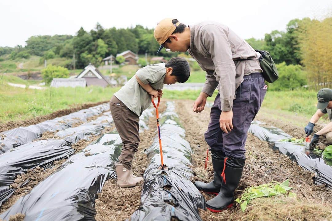 きなこのインスタグラム：「自然体験教室⛰ 今回は一年ぶりのさつまいもの苗植え。苗を土に埋める方向でさつまいもの育ち方が変わってくる、と教えてもらったので、いろんな植え方で実験😁 秋の収穫が楽しみ🍠♡  子どもたちは周りの生き物たちに夢中で、カエルやおたまじゃくしやトカゲを捕まえたり観察したり、水路でタニシやエビを探したり。 生き物大好きな息子、ここに来るといつも生き生きしてる🥰  #畑仕事 #自然あそび #こどもとおでかけ #小学生 #小学生男子 #育児 #子育て #こどもと暮らす」