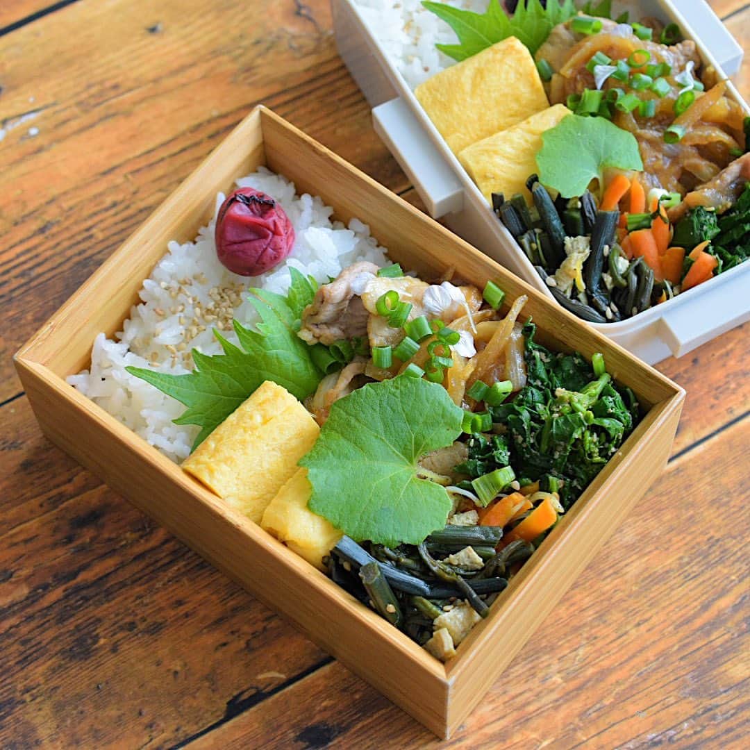 yukiyoのインスタグラム：「2023.5.16* ・ 今日のお弁当 ・ ご飯に白ごま、梅干し 甘い出汁巻 焼き肉 つぼみ菜胡麻和え 人参小松菜しらす炒め わらびとお揚げさっと煮 おにぎりの具はおかか昆布の佃煮 お味噌汁はインスタント ・ 晴れて良かった火曜日 今日も頑張ろう〜 ・ 白いのは大根の花びらです。 ・ #お弁当 #obento #bento #japanesefood #暮らし #わっぱ #曲げわっぱ #わっぱ弁当 #igersjp #クロワッサンお弁当部 #クロワッサン普段弁当」