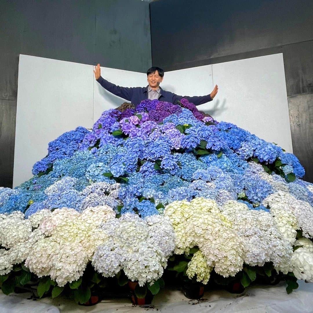 依田司さんのインスタグラム写真 - (依田司Instagram)「5月16日（火） 栃木県とちぎ花センターのパリコレクションならぬアジサイコレクション「アジコレ」。温室で育てた80種およそ300株のアジサイをひと足お先にファッションショー形式で展示しています。 ランウェイをモデル気分で歩くことができますし、100鉢ものアジサイを使ったドレスは、このまま紅白歌合戦に出られそう笑。 その他ちゃんとお勉強できるコーナーも。 同じ品種のアジサイが赤系と青系に別れて展示されています。土の環境を、酸性だと青系、アルカリ性にすると赤系に育つんですね。 小腹が空いたらバラソフトをどうぞ。 アジコレは、今月28日（日）まで。  #とちぎ花センター #アジコレ #crocodile #クロコダイル #依田さん #依田司 #お天気検定 #テレビ朝日 #グッドモーニング #気象予報士 #お天気キャスター #森林インストラクター #グリーンセイバーアドバンス #プロジェクトワイルド #IPCC伝導者 #japan #japantrip #japantravel #unknownjapan #japanAdventure #japanlife #lifeinjapan #instagramjapan #instajapan #療癒 #ilovejapan #weather #weathercaster #weatherforecast」5月16日 9時11分 - tsukasa_yoda