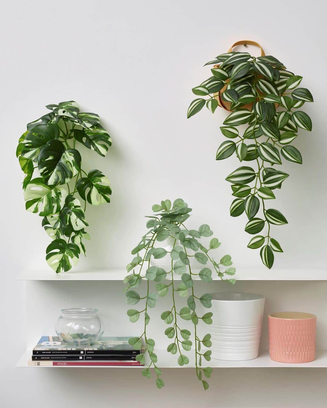 IKEA JAPANさんのインスタグラム写真 - (IKEA JAPANInstagram)「さわやかなグリーンでつくる癒し空間🌱  ⁡ 観葉植物を取り入れて、気分をリフレッシュしませんか？グリーンは部屋を心地いい空間に演出するだけでなく、植物の世話をすることはストレスを減らし創造力も高めてくれるそう。おしゃれなプランタースタンドや栽培用小物もあれば、毎日のお世話がもっと楽しくなりそうですね。手軽に楽しみたい方には、お手入れ不要のフェイクグリーンもおすすめです✨ ⁡ 今ならIKEA Familyメンバー限定、イケア店舗で対象の観葉植物が10%off！ 5/31（水）まで。 ※FEJKA/フェイカ 人工観葉植物・SMYCKA/スミッカ 造花は対象外です ※IKEAオンラインストアは対象外です。 ⁡ #イケア #IKEA #ikeajapan #IKEAオンラインストア #この家が好き #おうち時間 #暮らしを楽しむ #インテリア #ワンルームインテリア #部屋作り #一人暮らし #サステナブル #サスティナブル #グリーンのある暮らし #グリーンインテリア #インテリアグリーン #観葉植物 #フェイクグリーン #人工植物 #人工観葉植物 #花瓶 #じょうろ」5月16日 11時05分 - ikeajapan