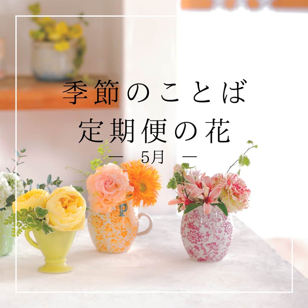 雑誌『花時間』さんのインスタグラム写真 - (雑誌『花時間』Instagram)「風が心地よく、新緑が美しい季節になりました。。  花時間（@hanajikan_magazine）です。  こちらのpicでは、季節のことばと、『花時間』が定期便でお届けする旬の花材をお伝えします！  ５月は皐月（さつき）。ほかに、早苗月（さなえづき）、五月雨月（さみだれづき）、という呼び名もあります。  picでは、この時期に使ってみたいことばをピックアップしました。  定期便の花材は、下記にて随時、更新していきます。お届けする花材は、このなかのどれかが入っています。  🌸５／18(木)～19(金)着便 ◆プチ(Ｓ) バラ(さくらさくら) リモニウム(エバーライト) ガーベラ(パスタヴェネチア) スカビオサ(ラズベリーリップ) ブバリア(ロイヤルダフネニコレット) ソリダコ(タラ)  ◆スタンダード(M) バラ(パブロヴァーズ) バラ(フランベール) ヒマワリ(サンリッチライチ) シャクヤク(かぐや姫) ダリア(ムーンストーン) テマリソウ リモニウム(エバーライト) ガーベラ(パスタヴェネチア) スカビオサ(ラズベリーリップ) ブバリア(ロイヤルダフネニコレット) ニゲラ(トランスフォーマー) ソリダコ(タラ) ゴテチャ(ピンクアイ) シモツケ   ◆リュクス（Ｌ） バラ(ヴァーズ) バラ(パブロヴァーズ) バラ(フランベール) バラ(ホーリー) スプレーバラ(さくらさくら) シャクヤク(かぐや姫) ダリア(ムーンストーン) ヒマワリ(サンリッチライチ) リモニウム(エバーライト) ガーベラ(パスタヴェネチア) スカビオサ(ラズベリーリップ) ブバリア(ロイヤルダフネニコレット) ニゲラ(トランスフォーマー) ソリダコ(タラ) ゴテチャ(ピンクアイ) シモツケ  🌸5／20(土)～21(日)着便 ◆プチ(Ｓ) ガーベラ(コロナ) デルフィニウム(スーパーハッピーピンク) スカビオサ ブバリア(ロイヤルダフネニコレット) ニゲラ(スカイブルー) ユーカリ(ポリアンセモス)  ◆スタンダード(M) バラ(フラクタルヴァーズ) バラ(ユニベール) クレマチス(アメイジングジュネーバ) クリスマスローズ(マグニフィセント) キク(ヌーボ) ガーベラ(コロナ) カンパニュラ(チャイムスカイブルー) デルフィニウム(スーパーハッピーピンク) スカビオサ ブバリア(ロイヤルダフネニコレット) ニゲラ(スカイブルー) コマチソウ グンバイナズナ コリアンダー ユーカリ(ポリアンセモス)  ◆リュクス（ L） バラ(ジュエルヴァーズ) バラ(フラクタルヴァーズ) バラ(ユニベール) ダリア(オズの魔法使い) トルコギキョウ(NFマンゴー) クレマチス(アメイジングジュネーバ) クリスマスローズ(マグニフィセント) ガーベラ(コロナ) カンパニュラ(チャイムスカイブルー) デルフィニウム(スーパーハッピーピンク) スカビオサ ブバリア(ロイヤルダフネニコレット) ニゲラ(スカイブルー) コマチソウ グンバイナズナ パイナップルミント コリアンダー ユーカリ(ポリアンセモス)  🌸5／26(金)着便 ◆プチ(Ｓ)  ガーベラ(パスタコルヴァーラ) スカビオサ カンパニュラ(メイブルー) スズラン ベニバナ ナルコラン シャクヤク(かぐや姫)  🌸6／2(金)着便 ◆プチ(Ｓ)  カーネーション(ペルセウス) リモニウム(雲竜) シャクヤク(ルーズベルト) アリウム(ギガンジューム) ブラックベリー ベニバナ  🌸6／3(土)着便 ◆プチ(Ｓ) 　トルコギキョウ(プリマラベンダー) バイカウツギ ブラックベリー　 アナベル ギガンジウム　 ロシアンオリーブ  1枚目のアレンジ @country_harvest_ch 1枚目の写真　@tanabe32  【花時間ニュース】 💜『花時間』から、花の定期便がスタートしました🥰　世界でここだけのバラと旬花が届く嬉しいサービスです💕  💜『花時間2023春夏』〈春のピンク、夏のブルー〉大好評発売中！  💜2023年『花時間』カレンダー絶賛発売中！  💜『花と短歌でめぐる 二十四節気 花のこよみ』大好評発売中  すべて @hanajikan_magazine のプロフィールのリンクから飛べます✈️  『花時間』本誌や書籍は全国の書店、ネット書店でも発売中✨  #花時間 #花時間マルシェ定期便 #フラワーアレンジ #サブスク #花の定期便 #花が好き #花が好きな人と繋がりたい #花を飾る #花を飾る生活 #花屋さんへ行こう」5月16日 11時07分 - hanajikan_magazine