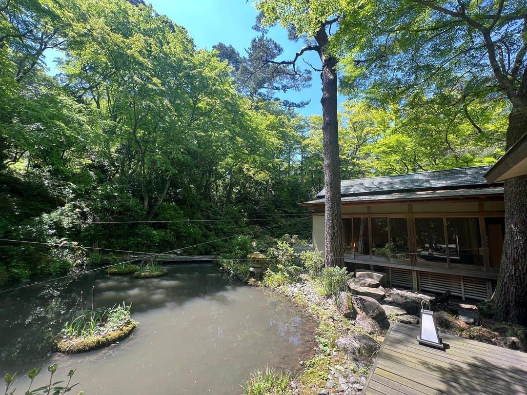 長谷川朋美さんのインスタグラム写真 - (長谷川朋美Instagram)「箱根は新緑の時期で最高です😍 岡田美術館にある開化亭に はじめていってきました✨  歴史ある日本家屋を素敵に改築されていて、 建物もお庭も素晴らしかったです！  箱根にはこうしたお店が多く、 こうした場所を巡るのが 箱根に来たときの楽しみです🥰  メニューはうどんでとても美味しかったのですが… 恒例の、、こぼしました😂  @sayakajapan Thanks❤️  #箱根  #hakone #新緑 #日本家屋 #岡田美術館 #開化亭」5月16日 11時23分 - hasegawa.elena.tomomi