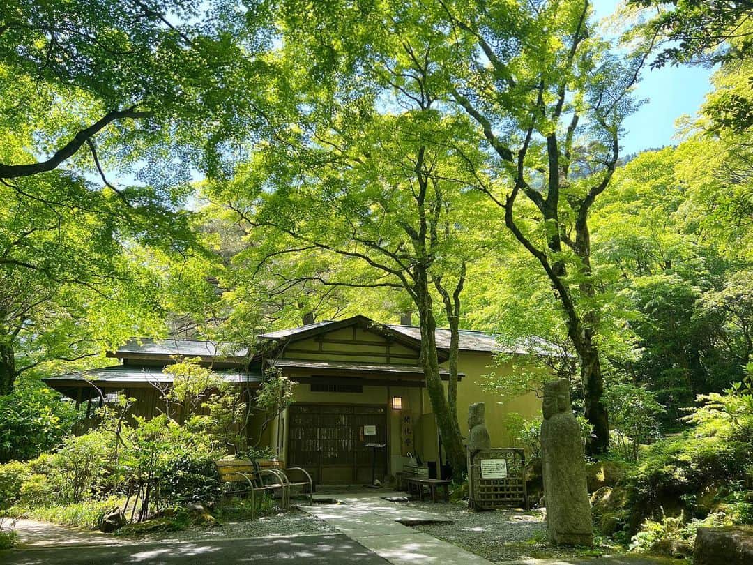 長谷川朋美のグルメインスタ