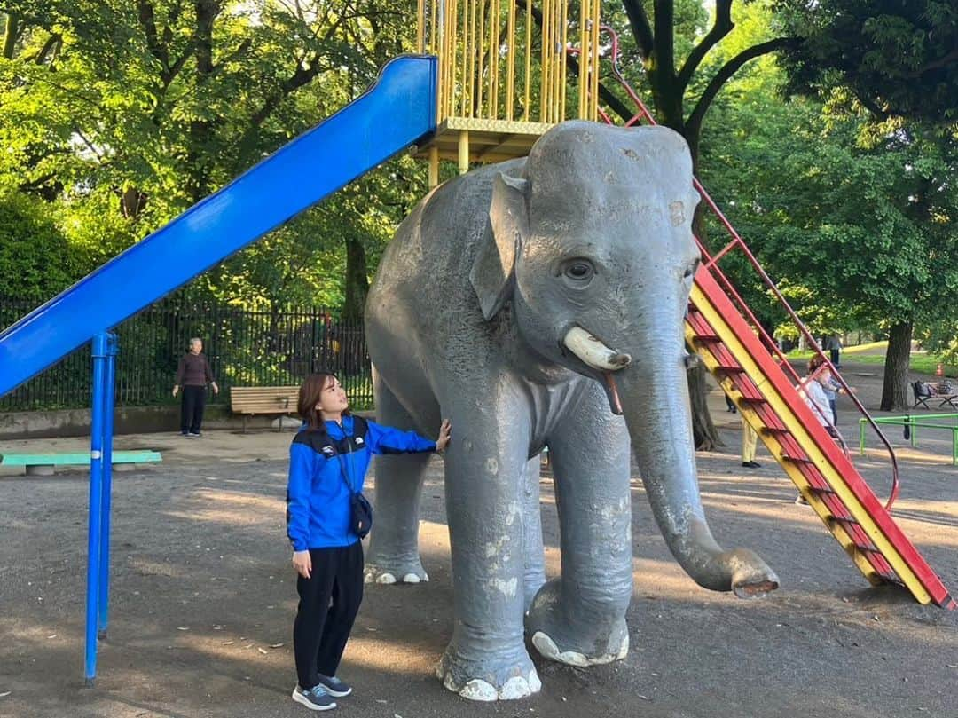 篠原梨菜さんのインスタグラム写真 - (篠原梨菜Instagram)「飛鳥山公園のゾウとすべり台 荷物が重そうなゾウ🦣🦣  #thetime_tbs  #飛鳥山公園 #ゾウのすべり台」5月16日 11時42分 - shinorinatbs