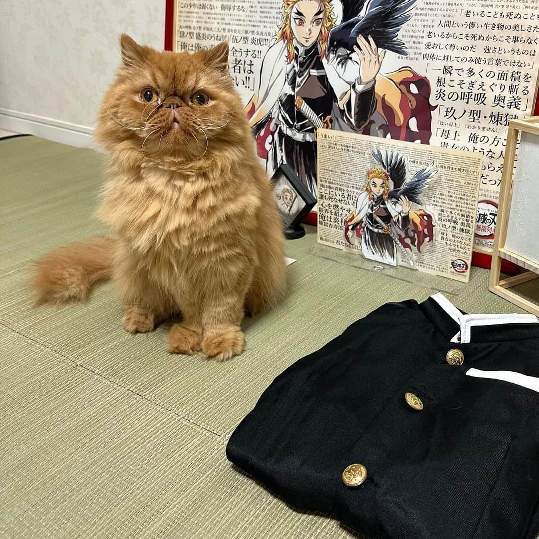 manami☺︎satoのインスタグラム