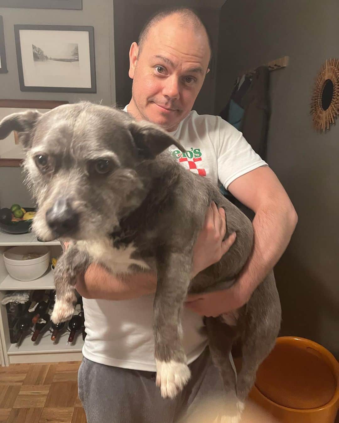 ズザンナ・シャコフスキーのインスタグラム：「Somebody was barking at the delivery guy. @thecindydoggy @millardcomedy」