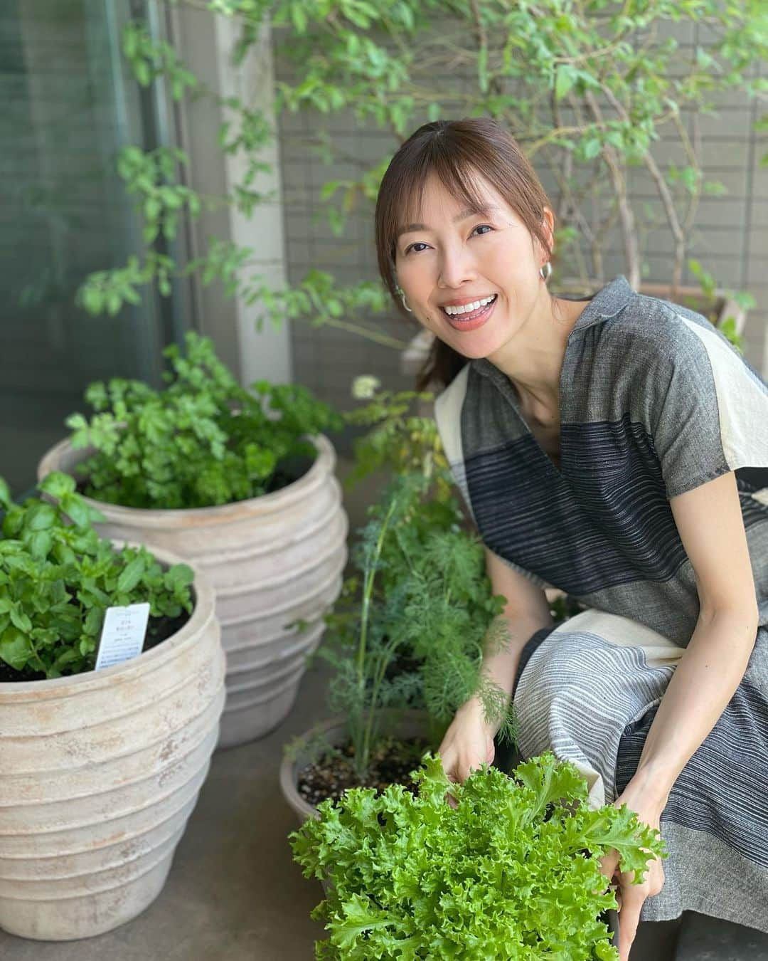 松見早枝子さんのインスタグラム写真 - (松見早枝子Instagram)「ベランダガーデニング続き☺️ ・ 今年は土に少しずつコンポストを混ぜてみました♻️ ・ レタスも毎日食べる分くらいは収穫できてます🥬👌 ・ ・ #ベランダ菜園 #コンポスト #粮理家 #ウェルネスフードスタイリスト #松見早枝子」5月16日 12時09分 - saekomatsumi