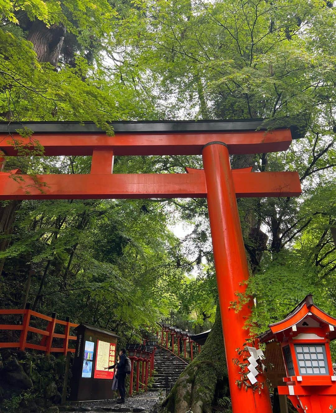 中村かなさんのインスタグラム写真 - (中村かなInstagram)「今年は卯年🐰 気になってたうさぎの神社 京都・岡崎神社へ⛩ ・ 境内にはうさちゃんがいっぱいで🐰 かわいすぎてきゅんきゅんでした💓 ・ 雨降りだったけど 貴船神社 @kifunejinja にも⛩ 奥宮まで行ってマイナスイオンたっぷり浴びてきました🌿 ・ ・ ・ ・ #岡崎神社 #貴船神社 #パワースポット #パワースポット神社 #パワースポット巡り #パワスポ #そうだ京都行こう #寺院 #神社 #神社巡り #神社仏閣 #京都観光 #京都旅行 #パワーチャージ #マイナスイオン #卯年 #兎 #うさぎ」5月16日 12時40分 - k777pime