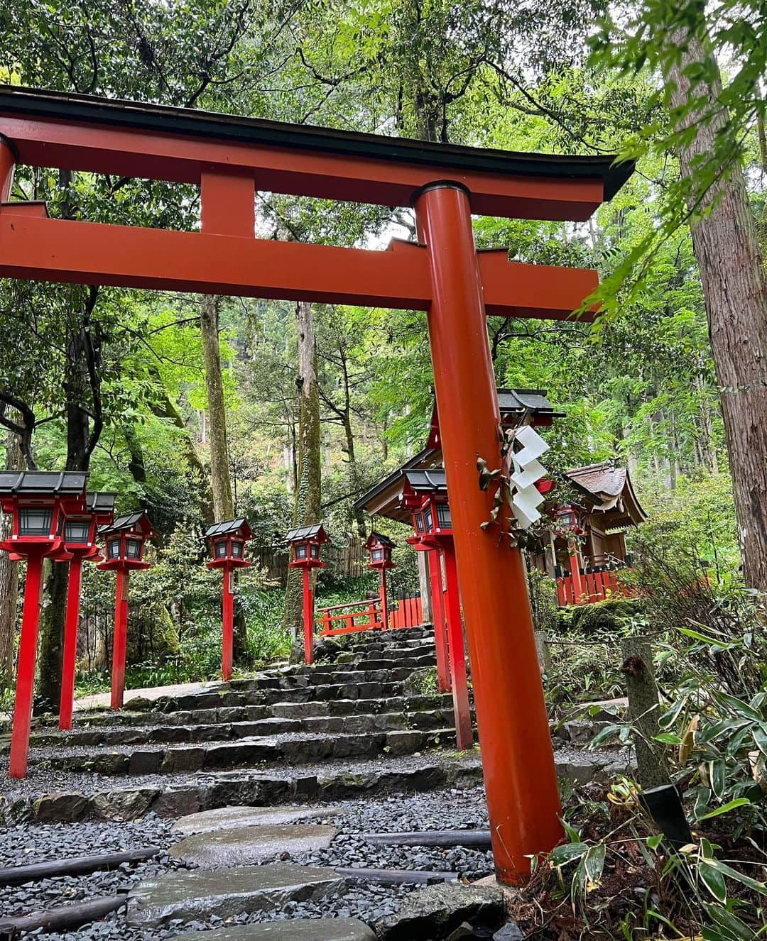 中村かなさんのインスタグラム写真 - (中村かなInstagram)「今年は卯年🐰 気になってたうさぎの神社 京都・岡崎神社へ⛩ ・ 境内にはうさちゃんがいっぱいで🐰 かわいすぎてきゅんきゅんでした💓 ・ 雨降りだったけど 貴船神社 @kifunejinja にも⛩ 奥宮まで行ってマイナスイオンたっぷり浴びてきました🌿 ・ ・ ・ ・ #岡崎神社 #貴船神社 #パワースポット #パワースポット神社 #パワースポット巡り #パワスポ #そうだ京都行こう #寺院 #神社 #神社巡り #神社仏閣 #京都観光 #京都旅行 #パワーチャージ #マイナスイオン #卯年 #兎 #うさぎ」5月16日 12時40分 - k777pime