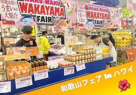 和歌山県食品流通課のインスタグラム：「米国ハワイのドン・キホーテ系列で「和歌山フェア」が4月末から開催されています！  県内22事業者、約70種類の商品を、６月末にかけて、ハワイのドン・キホーテ、タイムズ・スーパーマーケット、マルカイ・ホールセール・マート7店舗で販売しています。お客様からは「美味しい」「珍しい」「懐かしい」といった嬉しいお声をいただいております！  和歌山県産品の魅力が世界に伝わりますように✨   #和歌山フェア  #おいしく食べて和歌山モール  #なんて素敵な和歌山なんでしょう  #和歌山県  #wakayama  #insta_wakayama  #おいしい健康わかやま  #tasty_healthy_wakayama」