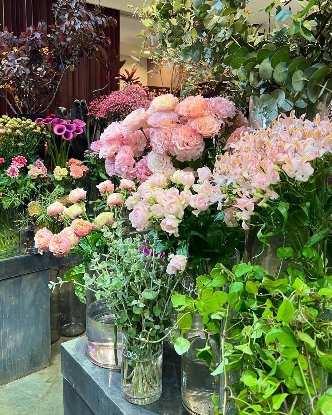 のインスタグラム：「今日は良い天気で、気持ちいいね☺️☀️」