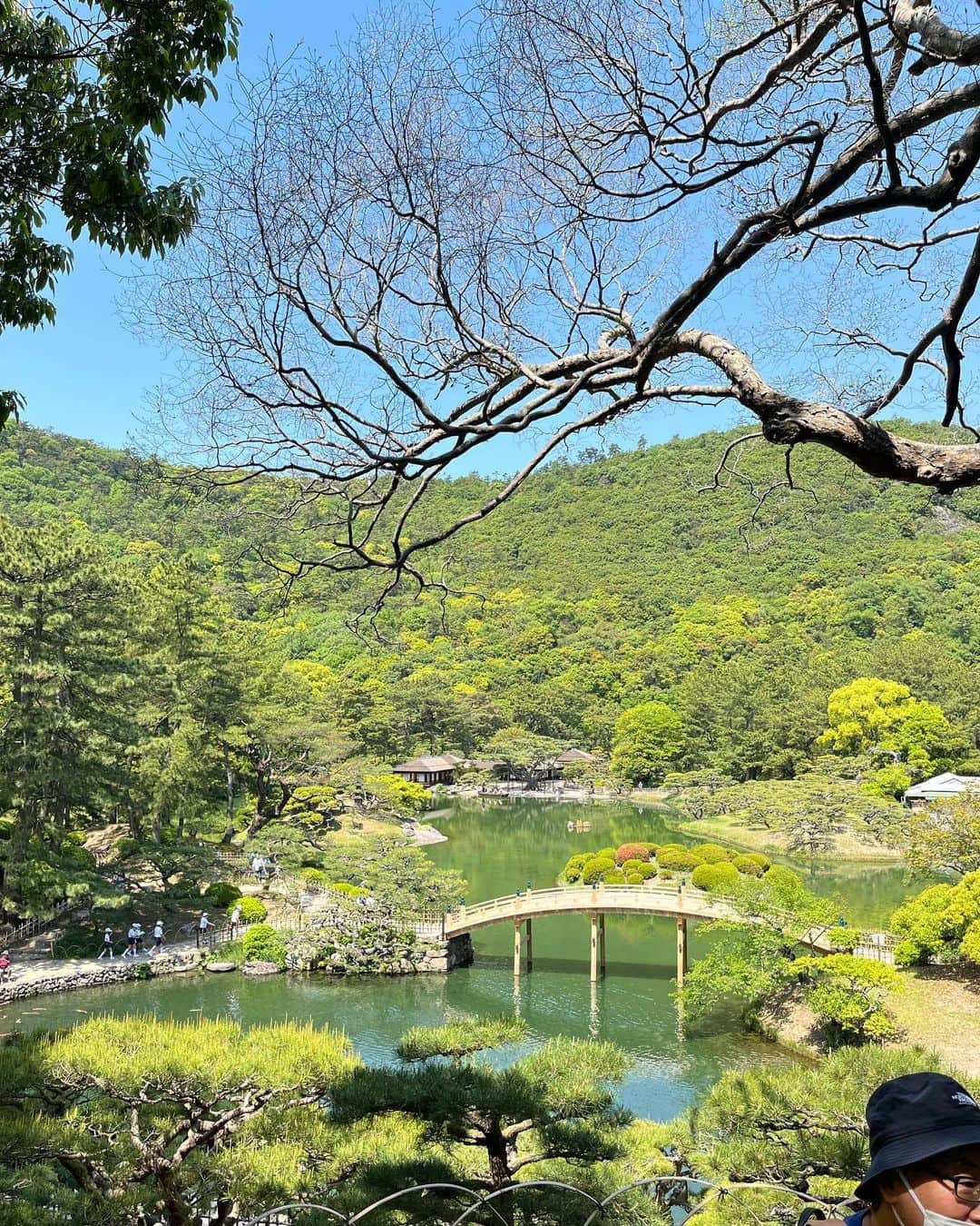 西村季里子さんのインスタグラム写真 - (西村季里子Instagram)「・  庭園や自然がとにかく大好きな 両親を連れて行きたかった 『栗林公園』  もう一日中ここにいたい！ というほど満足してた🤭🌳  文化財庭園では日本最大の広さで お山も入れると東京ドーム16個分の面積！ めちゃくちゃ広くて、午前中ずっといても 半分も回れなかった🫨🫨  お抹茶をいただいたり、 お休み処で軽食食べたり 自然に囲まれた空間が居心地良かった💕  #香川#香川県#香川旅行#香川カフェ  #四国旅行 #四国#四国旅#栗林公園  #おいりソフト#お抹茶#茶道#庭園」5月16日 13時58分 - kiriko_nishimura