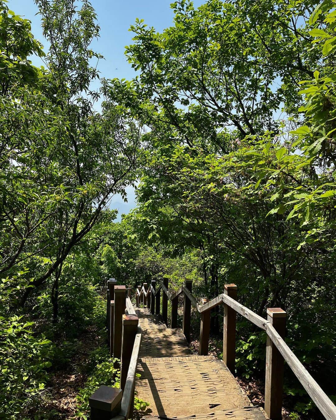 ウォン・ジナさんのインスタグラム写真 - (ウォン・ジナInstagram)「올해 첫 등산💚」5月16日 14時52分 - j0i3n2a9
