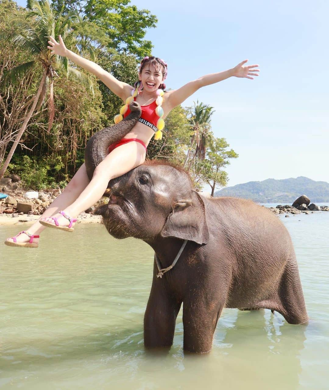 ぱんちゃん璃奈のインスタグラム：「#🦣  可愛かった❤️🫶  #ぞうさん  #elefante  #象 #プーケット　#Phuket #ぱんちゃん璃奈  #panchanrina  #自然　#田舎　#海　#島」