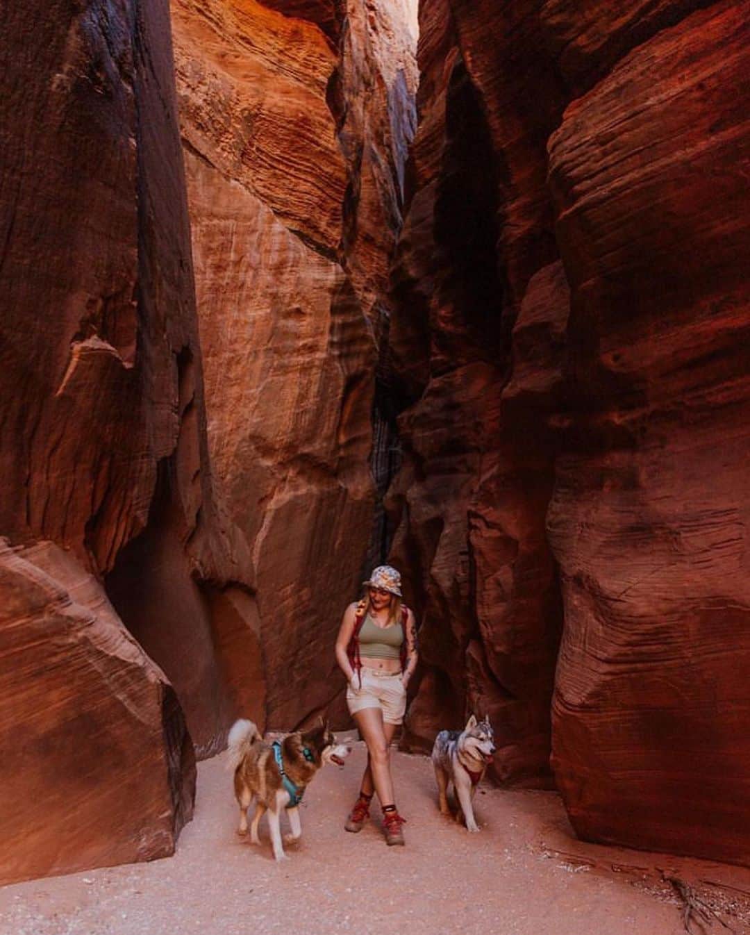 Bolt and Keelのインスタグラム：「Meet Kyra and Mika! 🏜️ There’s nothing better than having your best friend by your side on all of your adventures!! 🐾  @adventrapets ➡️ @adventuresibes  —————————————————— Follow @adventrapets to meet cute, brave and inspiring adventure pets from all over the world! 🌲🐶🐱🌲  • TAG US IN YOUR POSTS to get your little adventurer featured! #adventrapets ——————————————————」