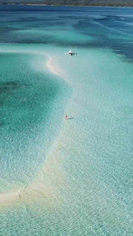Padgramのインスタグラム：「The Maldives of the Philippines 💧  Yes, the Philippines have it all! Those thousands islands all have something unique and each time more breathtaking.   📍Starfish Sandbank, Balabac, Philippines   Credit 🎥 @lesmoonwalkers   #pgdaily #pgstar#pgcounty #sea #planetgo#planet #planetearth #amazing #awesome #nature #philippines #philippines🇵🇭」