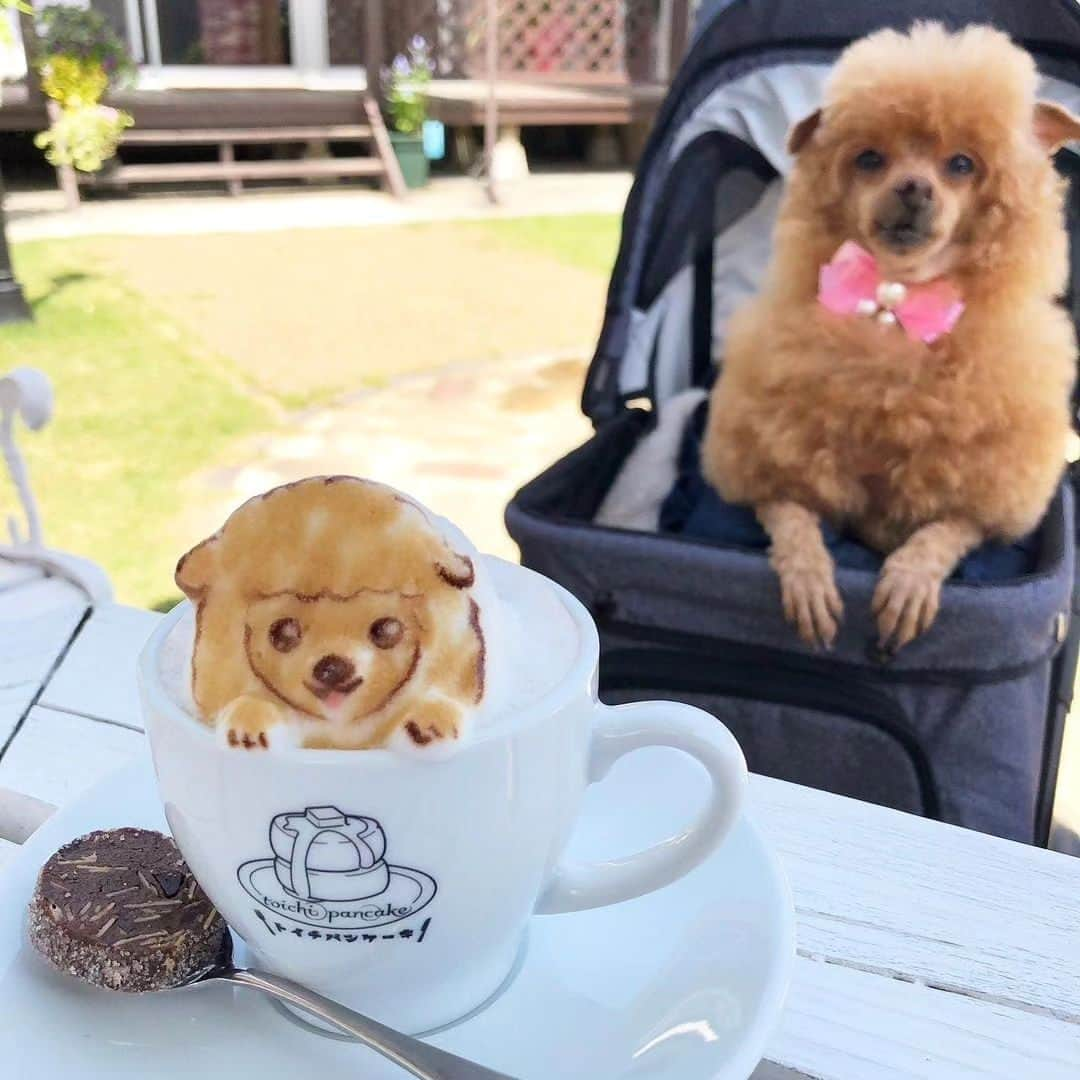 4meee!さんのインスタグラム写真 - (4meee!Instagram)「【3Dラテアートで癒しの時間☕️】  3Dラテアートはもう体験しましたか？ 写真のお店はこちら ▼tachipanncake（奈良県） ▼Hatcoffee（東京）  photo by💌 @purin__taruto @pumpkintomato657 @angelix_ys @__.pooh.s.__  ……about 4MEEE…… アラサー女性のためのWEBマガジン。 HAPPYのヒントが見つかる記事を毎日配信中！ プロフィールのリンクからぜひ、チェックしてみてください❤︎   #4MEEE #ラテアート #コーヒー #3dラテ #3Dラテアート #ラテ好きな人と繋がりたい #カフェめぐり #都内カフェ #都内カフェめぐり #カフェ巡り #都内カフェ備忘録 #ラテアート動画 #ラテアート好きな人と繋がりたい #カフェ部 #カフェ部 #スキズ#ストレイキッズ#プーさん#プーさんカフェ #ラテアートプーさん#オタ活#推し活#推し活カフェ #推し活カフェ巡り」5月16日 17時57分 - 4meee_com