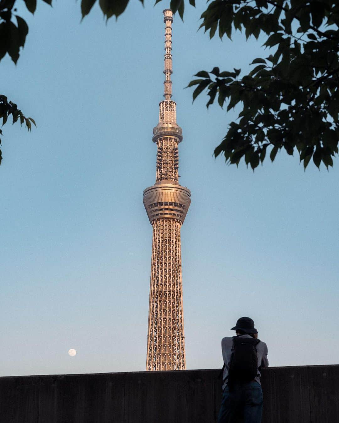 Joshのインスタグラム：「// been a minute since I last posted just photos, but it’s about time I share for the fun of it. We have been quite fortunate with the weather this spring, I think. There have been some incredible days of beautiful skies and cool winds that make random walks a perfect afternoon. Thank you to the strangers of Tokyo for these moments you’ve blessed me with. . .  #japan #japanawaits #japan_vacations #explorejapan #discoverjapan #visitjapanjp #visitjapanau #visitjapan #discovertokyo #sakura #sakuraseason#matcha_jp #japanlandscape #japanlife #tokyo #japaneseculture #shibuya」